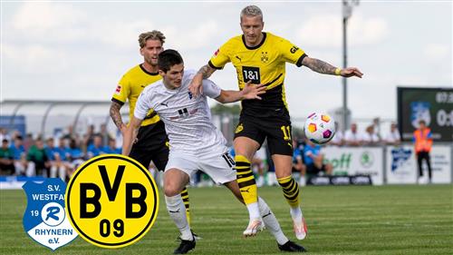 Westfalia Lane x Borussia Dortmund