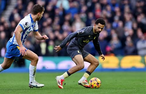 Brighton x Everton
